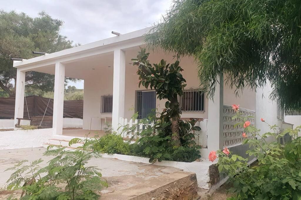 Casa Campo Con Piscina Y Barbacoa Para 6 Personas En Plena Naturaleza Picassent Exteriör bild